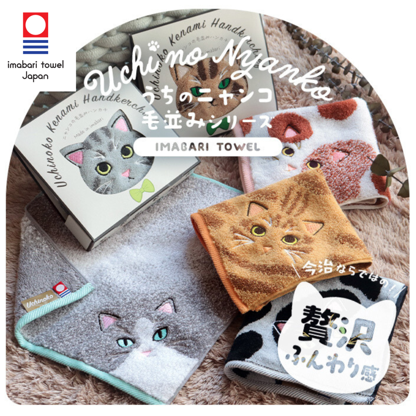 GandBKIDS-日本Hiorie今治毛巾-認證標誌