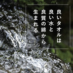 「sensui Yu系列」抗菌防臭檜木萃取精梳棉毛巾