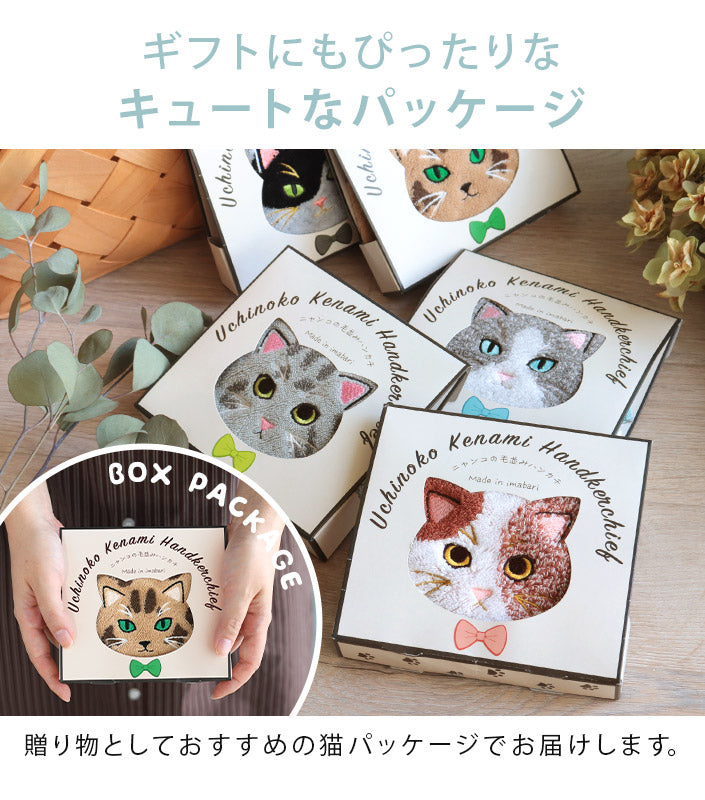 GandBKIDS-日本Hiorie今治毛巾-認證標誌