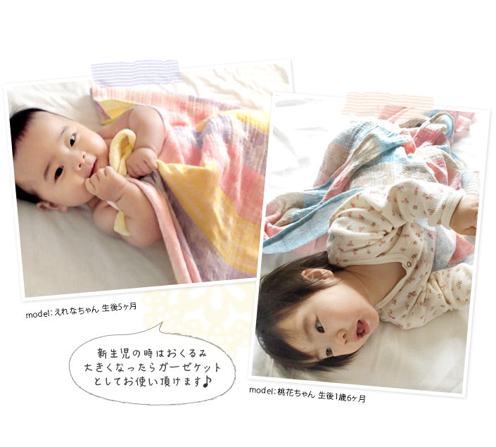 二重紗紗巾／包被